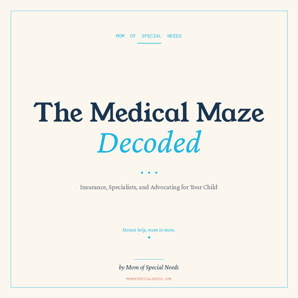 Medical Maze Decoded: Beat the Healthcare System for Your Special Needs Child