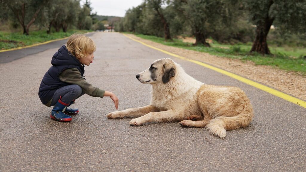 Young autistic child enjoying pet therapy autism session with a calm therapy dog
