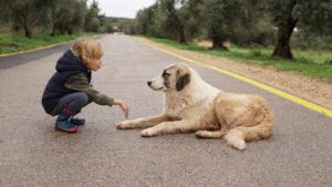Young autistic child enjoying pet therapy autism session with a calm therapy dog